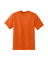 Orange T-Shirt