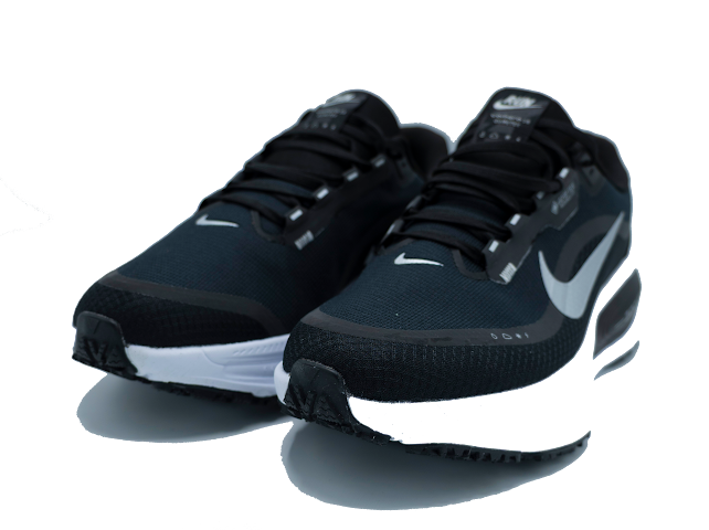 Nike Vomero 18 Gore Tex